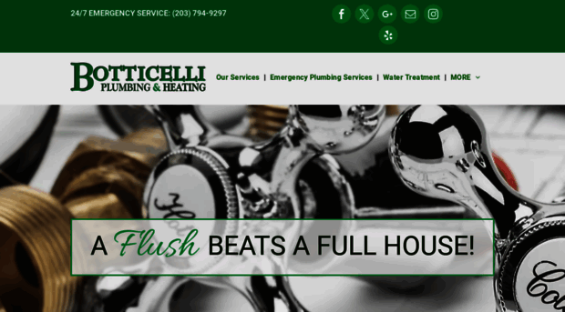 botticelliplumbing.com