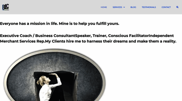 bottomlinesconsulting.com