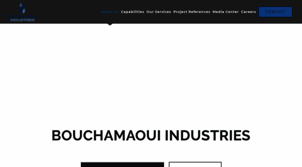 bouchamaoui.net