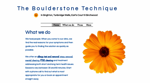 boulderstonetechnique.com