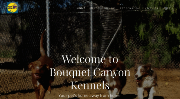 bouquetcanyonkennels.com