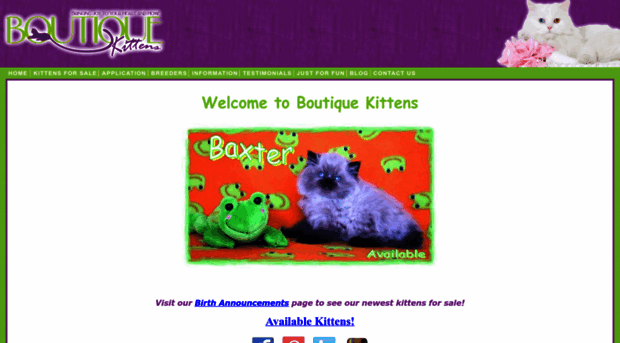 boutiquekittens.com