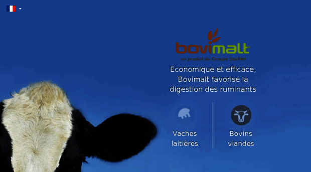 bovimalt.com