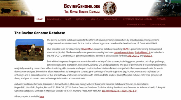 bovinegenome.org