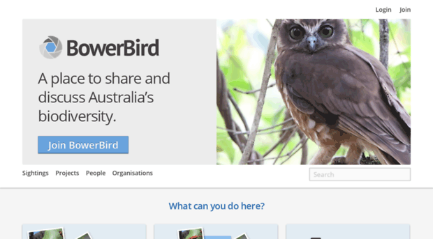 bowerbird.org.au