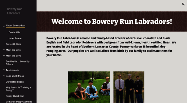 boweryrunlabradors.com