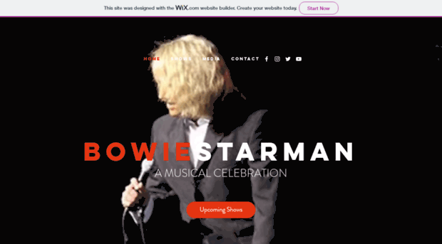 bowiestarman.com