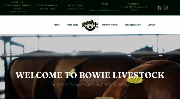 bowietexaslivestock.com