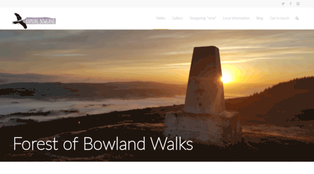 bowlandwalks.co.uk