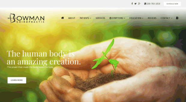 bowmanchiropracticsv.com