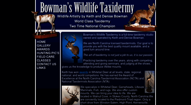 bowmanstaxidermy.com