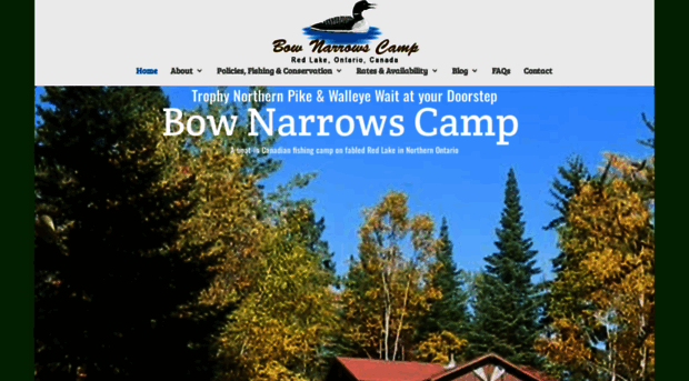 bownarrows.com