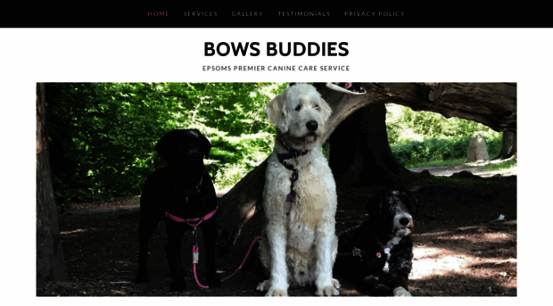 bowsbuddies.co.uk