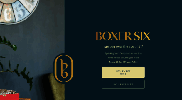 boxer-six.com