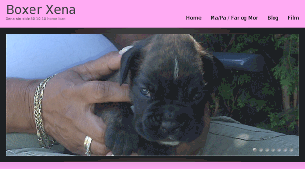 boxer-xena.nl