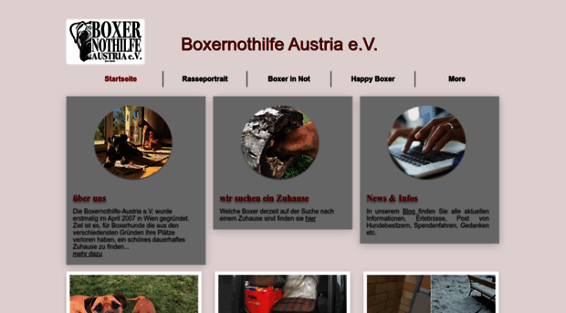 boxernothilfe-austria.at