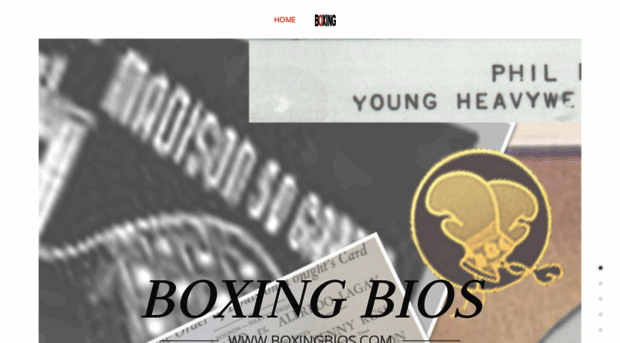 boxingbios.com
