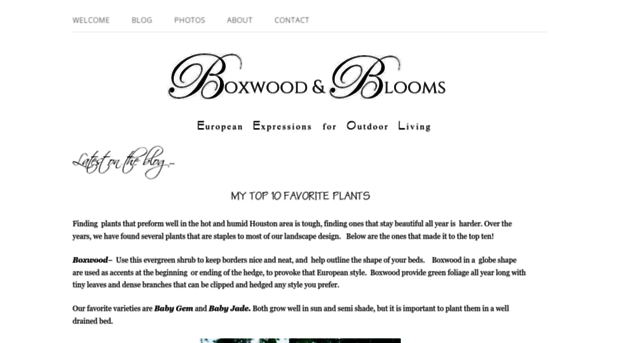 boxwoodandblooms.com