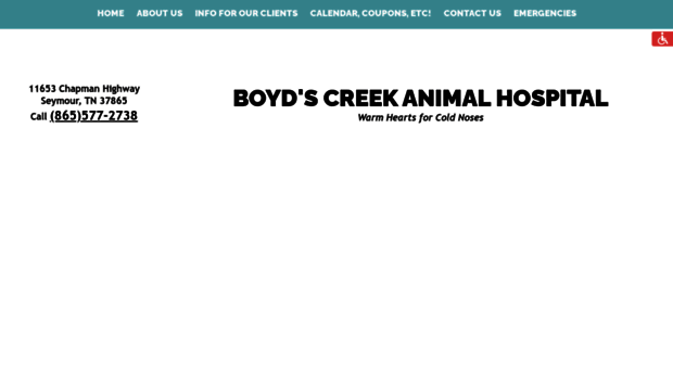 boydscreekvet.com