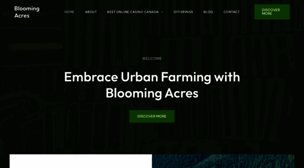 boylefamilyfarm.ca