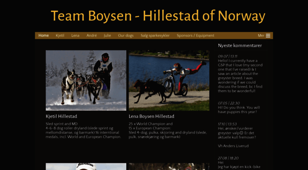 boysen-hillestad.com