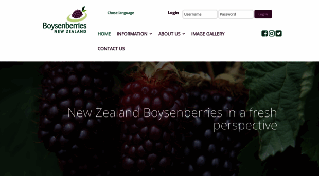 boysenberry.co.nz