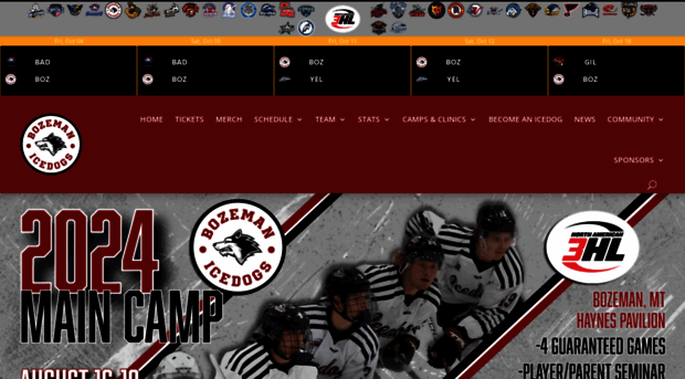 bozemanicedogs.com