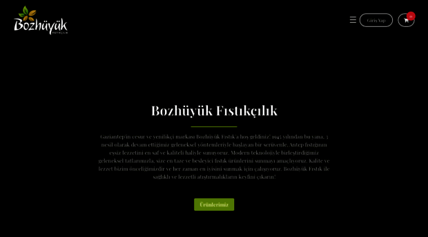 bozhuyukfistik.com