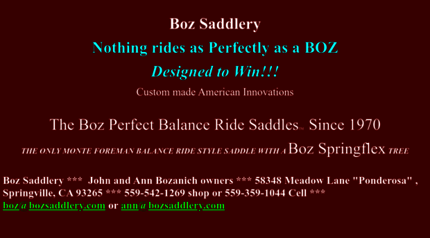 bozsaddlery.com