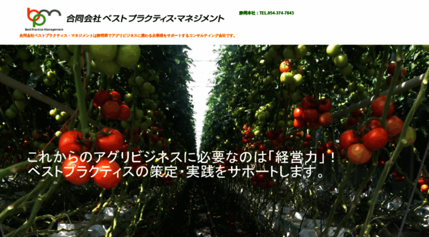 bp-m.co.jp