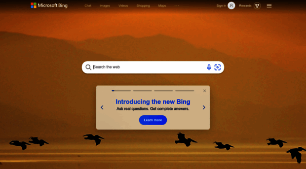 br.bing.com