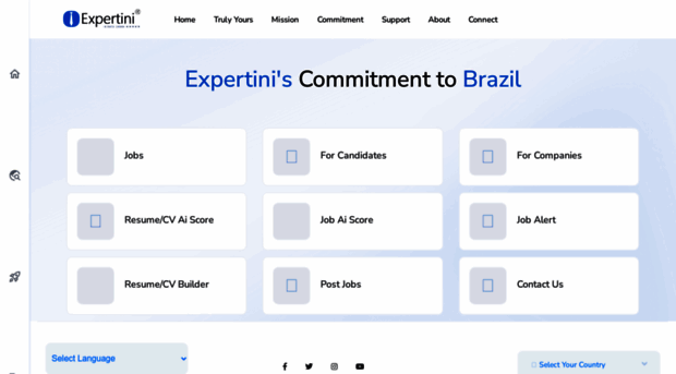 br.expertini.com