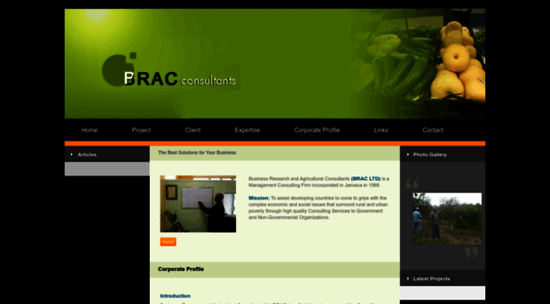 bracconsultants.com