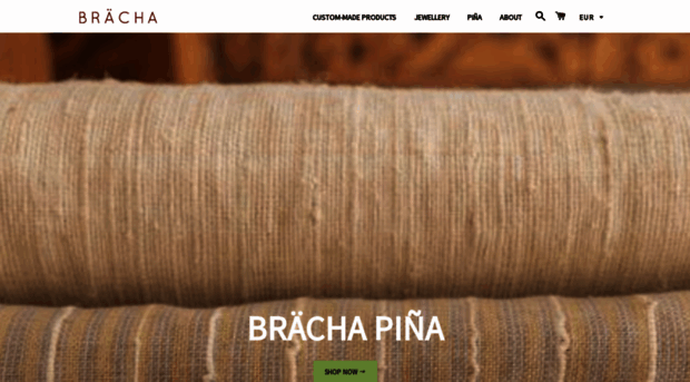 brachadesign.com