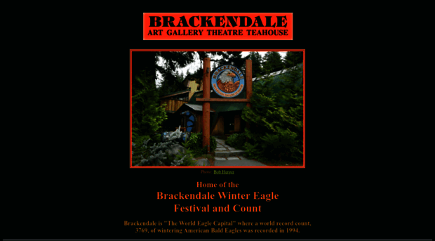 brackendaleartgallery.com