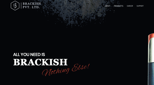 brackish.in