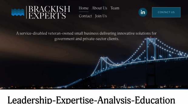 brackishexperts.com