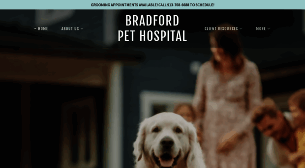 bradfordpet.com