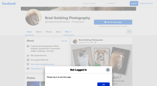 bradgoldring.com