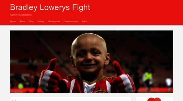 bradleylowerysfight.org.uk