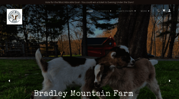 bradleymountainfarm.com