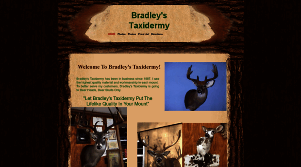 bradleystaxidermy.com