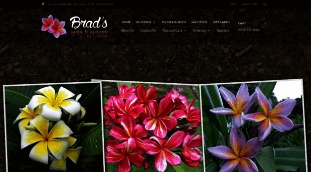 bradsbudsandblooms.com