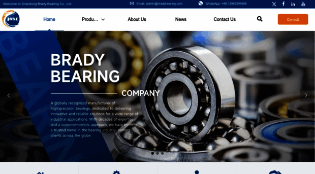 bradybearing.com