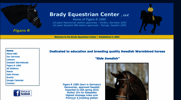 bradyequestriancenter.com