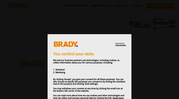 bradyplc.com