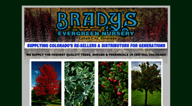 bradysevergreennursery.com