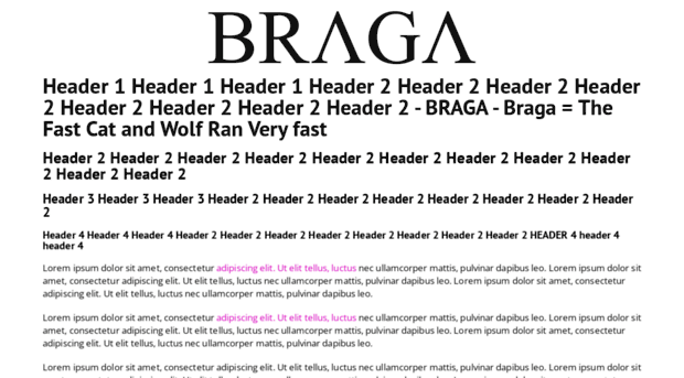 braga.com.pt