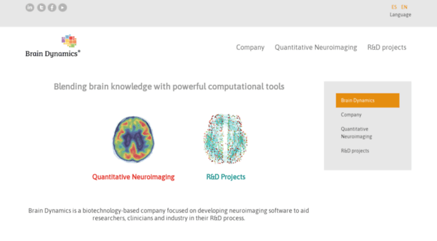 brain-dynamics.com