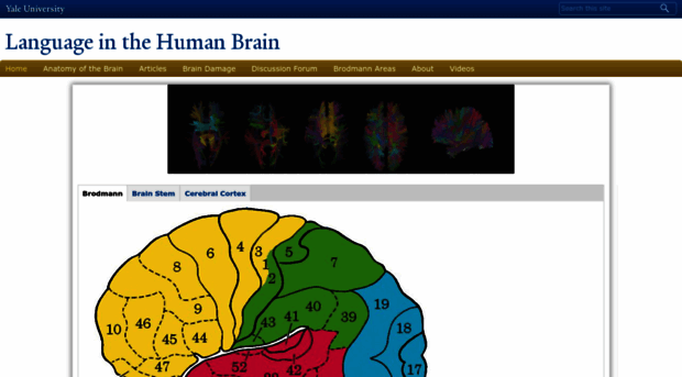 brain-language.yale.edu